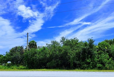 High-Visibility US1 Development Site Located Just 3 Miles from - photo 2