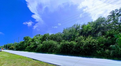 High-Visibility US1 Development Site Located Just 3 Miles from - photo 3