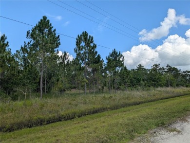 Lake Lot For Sale in Indian Lake Estates, Florida