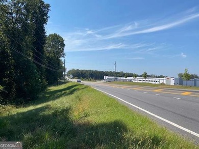 Lake Lanier Commercial For Sale in Flowery Branch Georgia