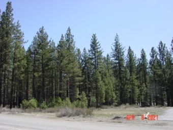Feather River Commercial For Sale in Portola California