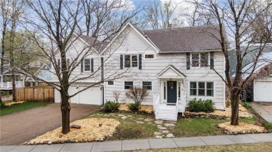 Lake Home For Sale in Excelsior, Minnesota