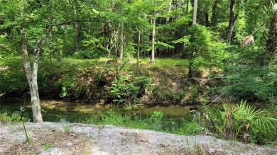 Lake Home For Sale in Morriston, Florida