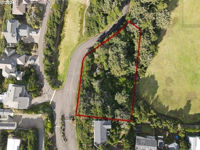 Looking for a half acre (0.56) to build on? This could be it! Be - photo 1