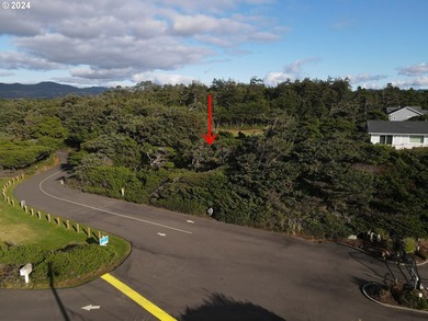 Looking for a half acre (0.56) to build on? This could be it! Be - photo 7
