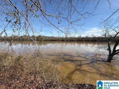 Lake Acreage For Sale in Ragland, Alabama