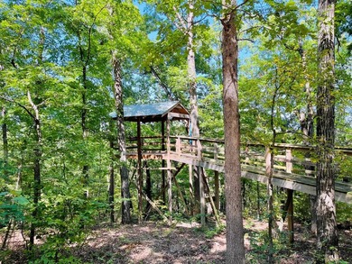Developer's Dream with Breathtaking Ozark & City Views!Seize - photo 1