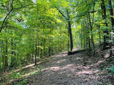 Developer's Dream with Breathtaking Ozark & City Views!Seize - photo 3