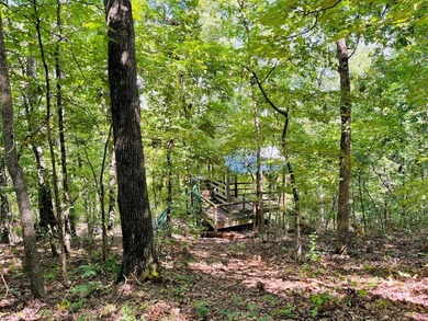 Developer's Dream with Breathtaking Ozark & City Views!Seize - photo 4