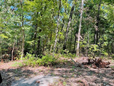 Developer's Dream with Breathtaking Ozark & City Views!Seize - photo 5