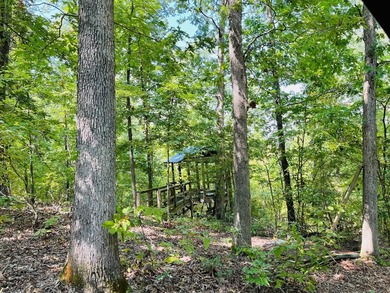 Developer's Dream with Breathtaking Ozark & City Views!Seize - photo 8