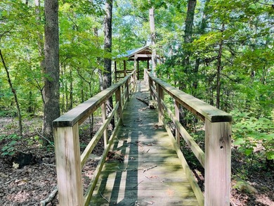 Developer's Dream with Breathtaking Ozark & City Views!Seize - photo 10