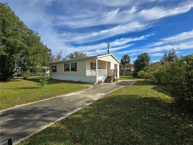 Lake Home For Sale in Astor, Florida