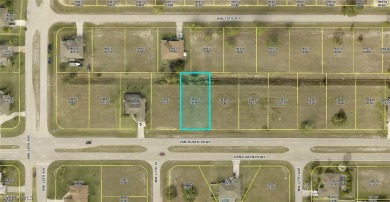 Nice Oversized Cape Coral - photo 2