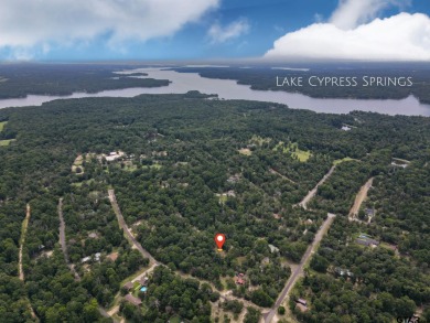 Build the home of your dreams in this highly desired lake - Lake Lot For Sale in Scroggins, Texas