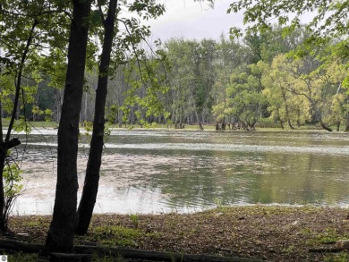 (private lake, pond, creek) Acreage For Sale in Maple Rapids Michigan