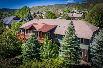 Video Link: Luxury riverfront home on the Roaring Fork River in - photo 16