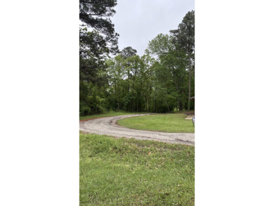 Lake Other For Sale in Shelbyville, Texas