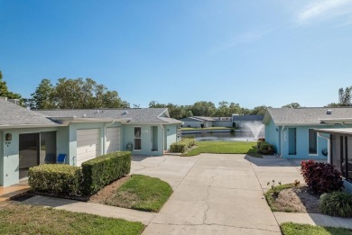 Lake Home For Sale in Palm Harbor, Florida