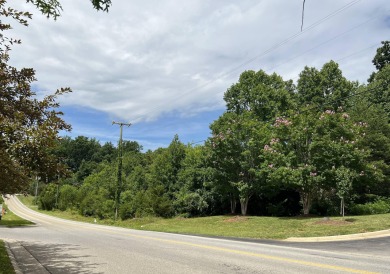 Lake Commercial For Sale in Hardy, Virginia