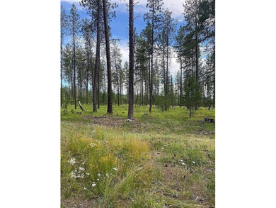 (private lake, pond, coastal) Acreage For Sale in Elk Washington