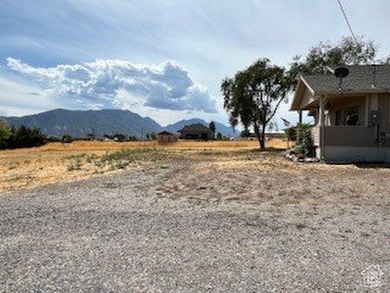 Great livestock property available. Water is also included so it - photo 3
