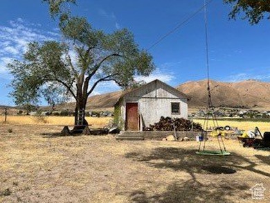 Great livestock property available. Water is also included so it - photo 7