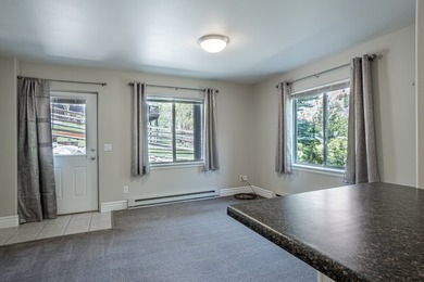 Video Link: Luxury riverfront home on the Roaring Fork River in - photo 48