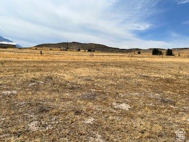 Great livestock property available. Water is also included so it - photo 9