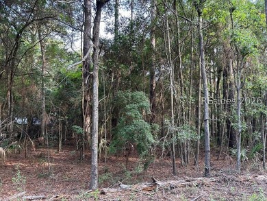Looking for a Daufuskie homesite without POA fees and flexible - photo 1