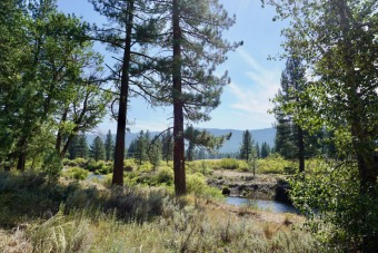 Feather River Lot For Sale in Clio California