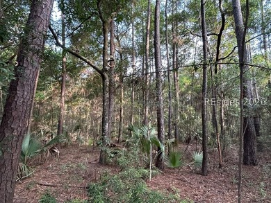 Looking for a Daufuskie homesite without POA fees and flexible - photo 4