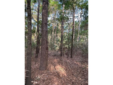 Looking for a Daufuskie homesite without POA fees and flexible - photo 5