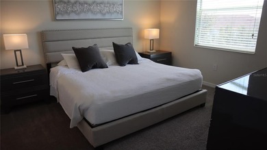 Welcome to The Terraces at Storey Lake -- where resort living - photo 6