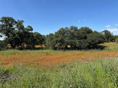 Build your dream home in the highly sought-after Kings Point - photo 11