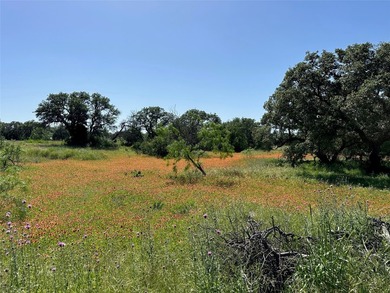 Build your dream home in the highly sought-after Kings Point - photo 13