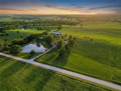Located on 20+ acres, this property offers usable land - photo 1