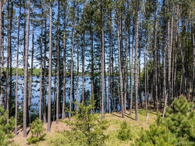 Iron Lake - Iron County Lot Active Under Contract in Iron River Michigan