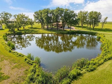 Located on 20+ acres, this property offers usable land - photo 2