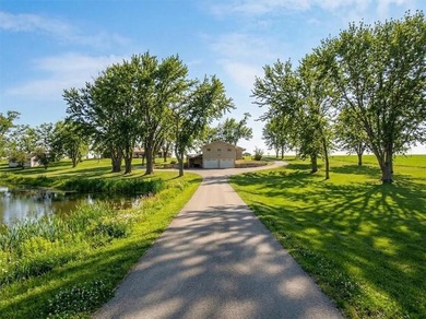 Located on 20+ acres, this property offers usable land - photo 6