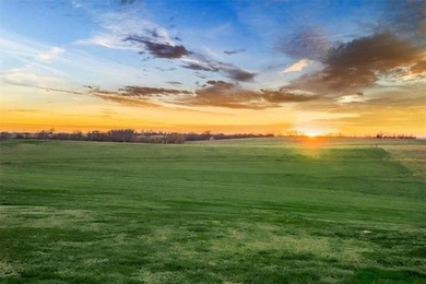 Located on 20+ acres, this property offers usable land - photo 7