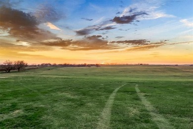 Located on 20+ acres, this property offers usable land - photo 8