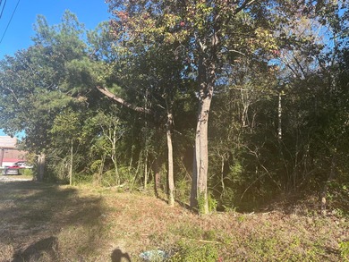Lake Moultrie Acreage For Sale in Moncks Corner South Carolina