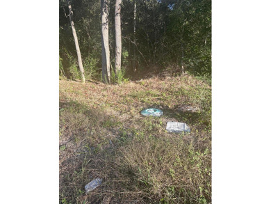 5 Acres in Prime Location on Hwy 52 in Moncks Corner, SC! Priced - photo 2