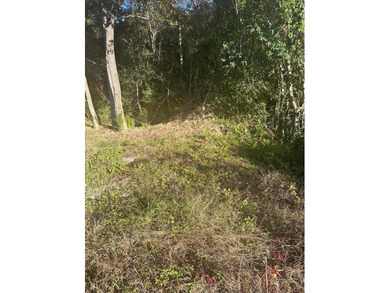 5 Acres in Prime Location on Hwy 52 in Moncks Corner, SC! Priced - photo 3