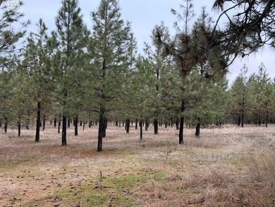 (private lake, pond, coastal) Acreage For Sale in Goldendale Washington