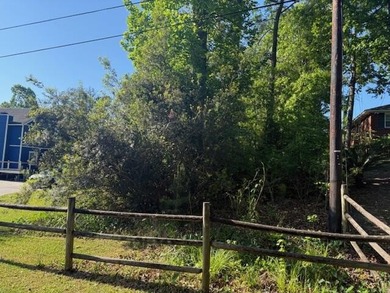 This proposed .22 acre lot in the established Gold Cup Springs - photo 1