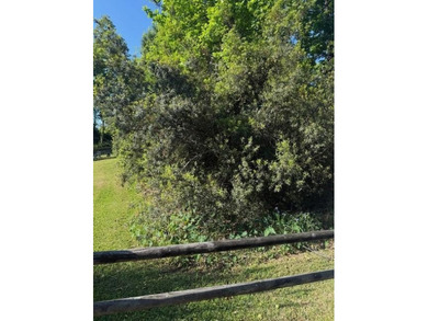 This proposed .22 acre lot in the established Gold Cup Springs - photo 2