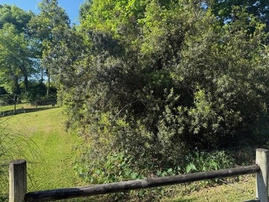This proposed .22 acre lot in the established Gold Cup Springs - photo 3
