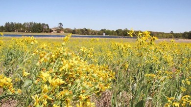 BUILDABLE lot just over half an acre in Hilltop Lakes. The - photo 15